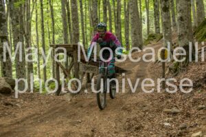 FOTO 5012