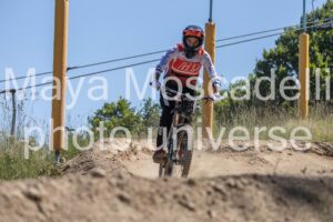 IMG_1240