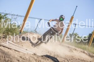 IMG_1282