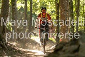 IMG_1351