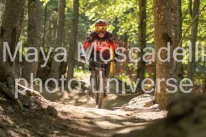 IMG_1380