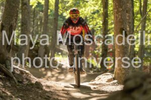 IMG_1382
