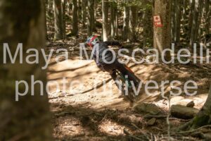 IMG_1425