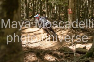 IMG_1426