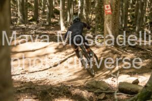 IMG_1433