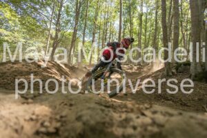 IMG_1510