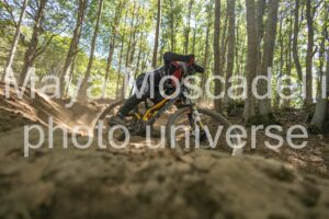 IMG_1515