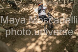 IMG_1528