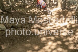 IMG_1534