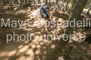 IMG_1536