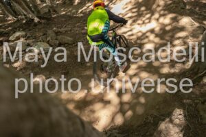 IMG_1539