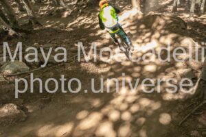 IMG_1541