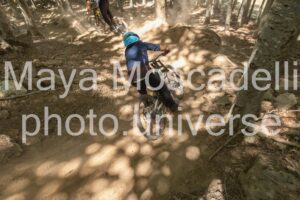 IMG_1550