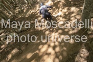 IMG_1561