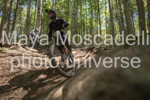 IMG_1610