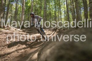 IMG_1613