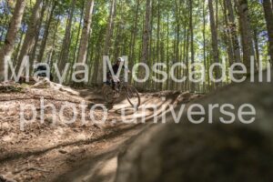 IMG_1619