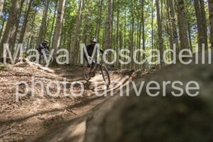 IMG_1629