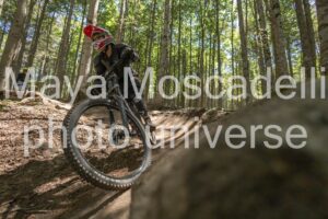 IMG_1637