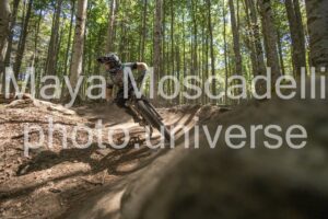 IMG_1650