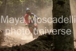 IMG_1686