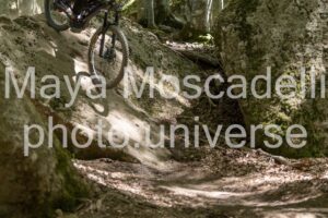 IMG_1728