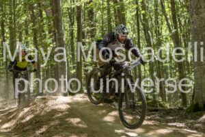 IMG_1736
