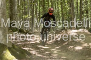 IMG_1742