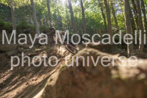 IMG_1790