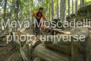 IMG_1820