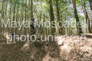IMG_1846