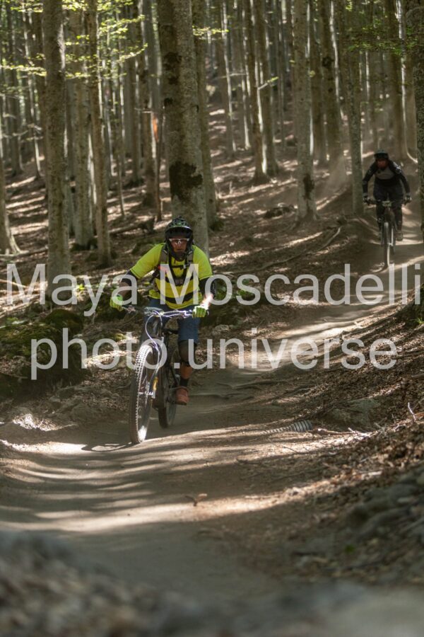 IMG_1899