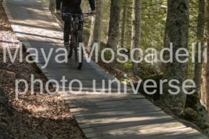 IMG_1914