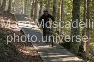 IMG_1915