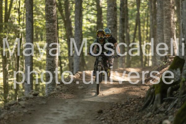 IMG_1931