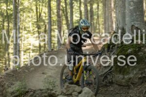 IMG_1936