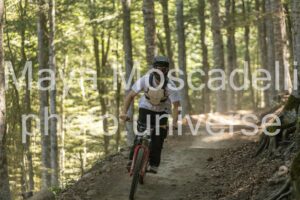 IMG_1941