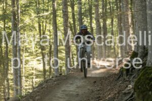 IMG_1944