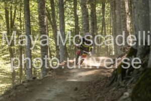 IMG_1959