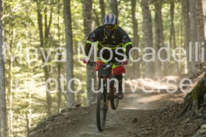 IMG_1962