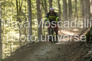IMG_1964