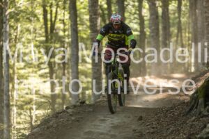 IMG_1965
