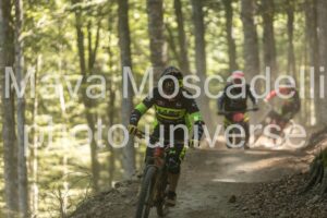 IMG_1968
