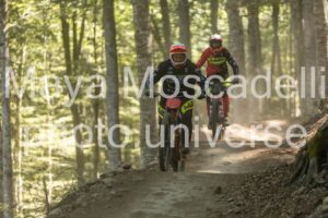 IMG_1969