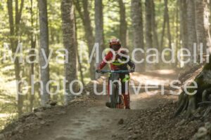 IMG_1977