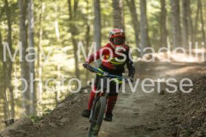 IMG_1979