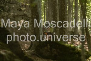 IMG_2032