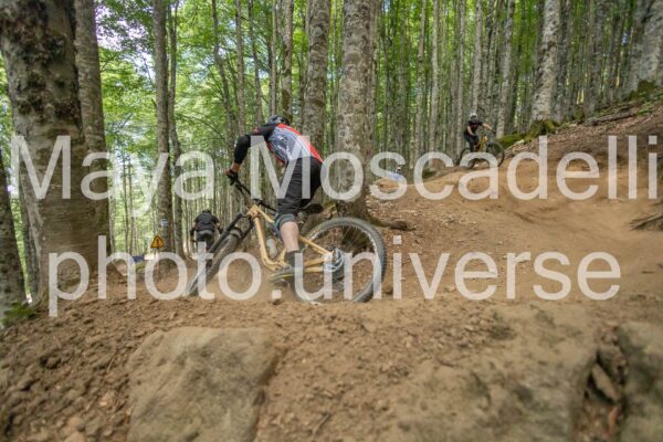 IMG_2140