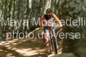 IMG_2226