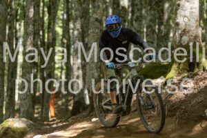 IMG_2231